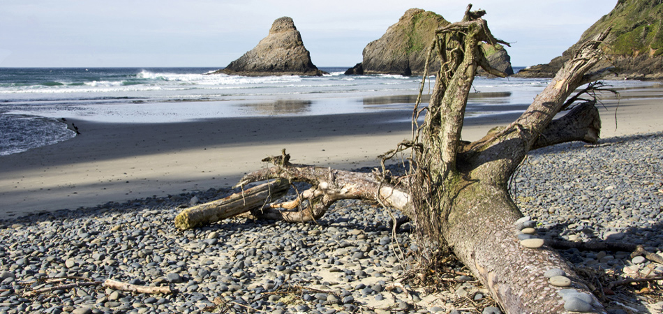 Heceta Head